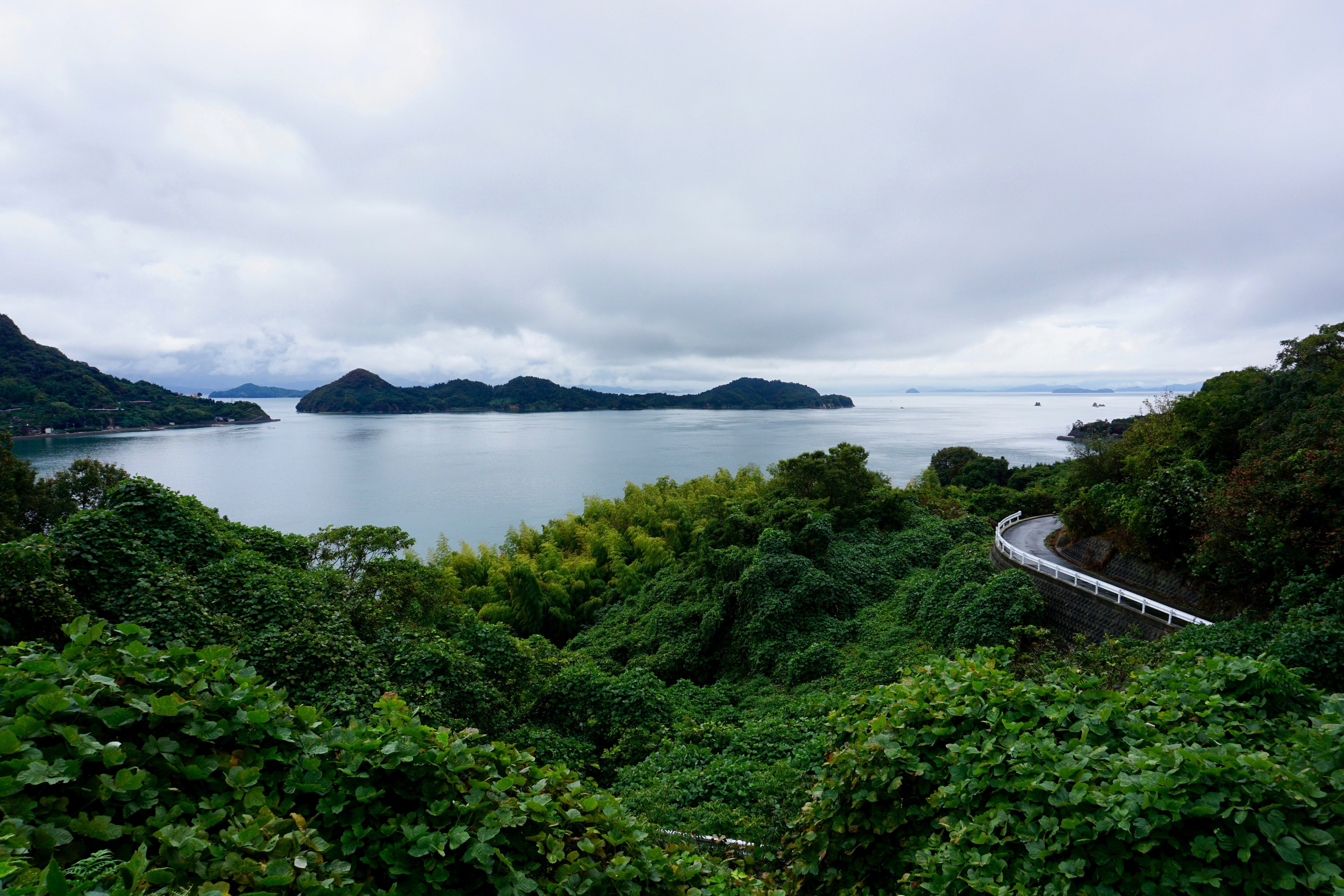 The Tobishima Kaido cycling trail cuts through thick green vegetation right on the coast of Japan's Seto Inland Sea
